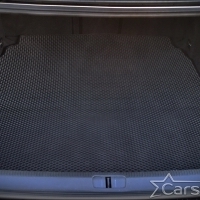Автомобильные коврики EVA на Volkswagen Passat B7 (2010-2015)
