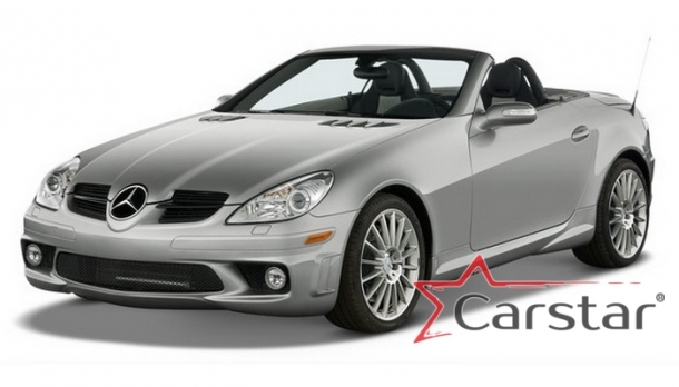 Текстильные коврики для Mercedes-Benz SLK-klasse II R171 (2004-2011)